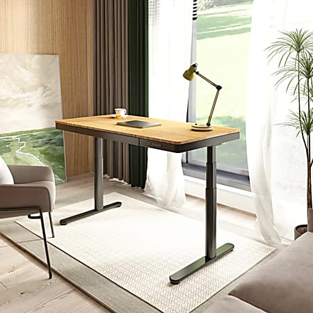 FlexiSpot Q8 Electric 55"W Height-Adjustable Standing Desk, Bamboo/Black