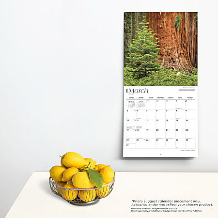 2024 Brown Trout Monthly Square Wall Calendar, 12" x 12", California