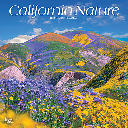 Brown Trout Monthly Regional Wall Calendar, 12" x 24", California Nature, January To December 2022
