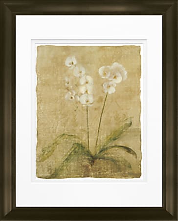 Timeless Frames Katrina Framed Floral Artwork, 11" x 14", Brown, Orchid