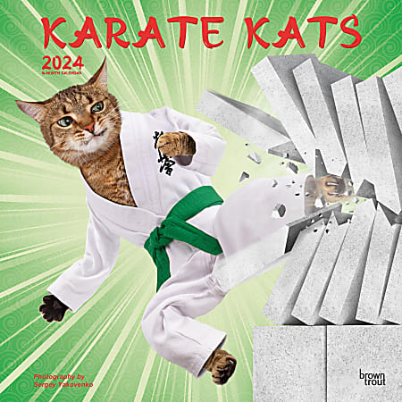 2024 Brown Trout Monthly Square Wall Calendar, 12" x 12", Karate Cats, January To December