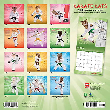 2024 Brown Trout Monthly Square Wall Calendar 12 x 12 Karate Cats
