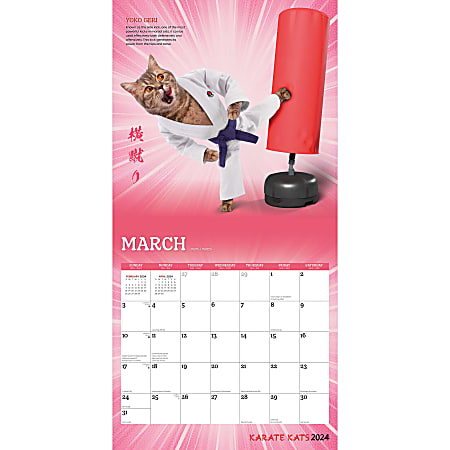 2024 Brown Trout Monthly Square Wall Calendar 12 x 12 Karate Cats