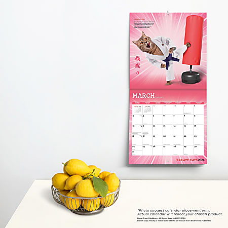 2024 Brown Trout Monthly Square Wall Calendar 12 x 12 Karate Cats