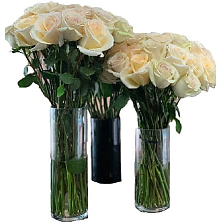 Rose Farmers Cream Dazzler Long Stem Roses, Cream, Box Of 24 Roses