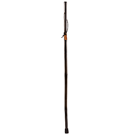 Brazos Walking Sticks™ Free Form Iron Bamboo Walking Stick, 58", Black