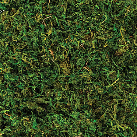 Amscan Natural Moss Decor, 4.2 Oz, Green, Set Of 2 Packs