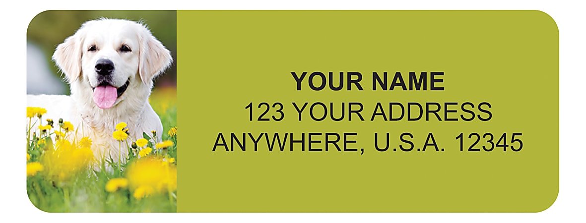 Custom Address Labels, 2-1/2" x 3/4", Golden Retriever, Pack Of 144 Labels