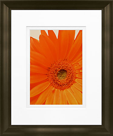 Timeless Frames Marren Espresso-Framed Floral Artwork, 8" x