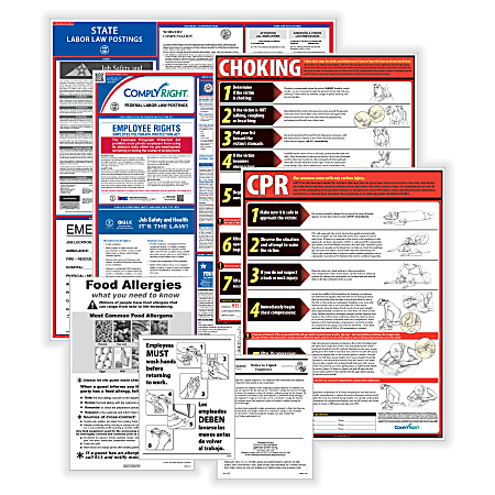 ComplyRight™ Restaurant Federal And State Labor Law Poster Set, English, Texas