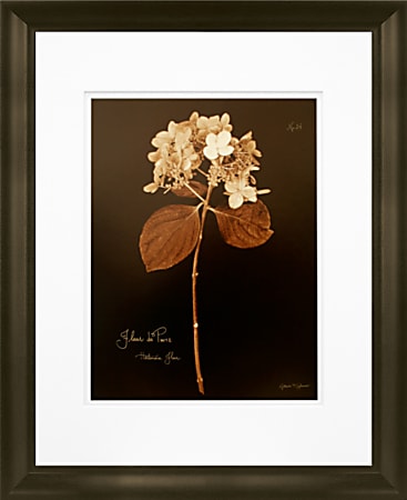 Timeless Frames Marren Espresso-Framed Floral Artwork, 16" x 20", Hydrangea