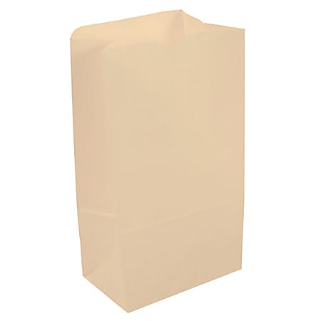 JAM Paper® Kraft Lunch Bags, 11"H x 6"W x 3-3/4"D, Ivory, Box Of 500 Bags