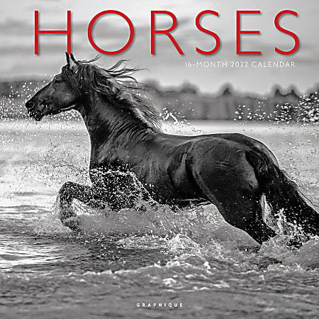 Graphique Animals Monthly Wall Calendar, 12" x 12", Horses, January To December 2022