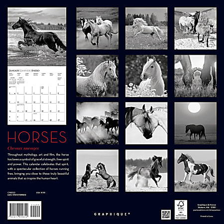 Horses 2020 Wall Calendar 12 Months 12'x12" 