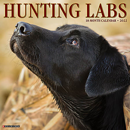 Willow Creek Press Animals Monthly Wall Calendar, 12" x 12", Hunting Labs, January to December 2022, 18422