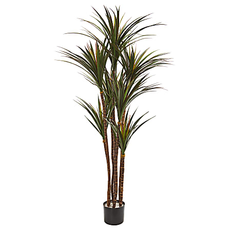 Nearly Natural 5-1/2'H UV-Resistant Giant Yucca Artificial Tree, 66”H x 25”W x 18”D, Black/Green