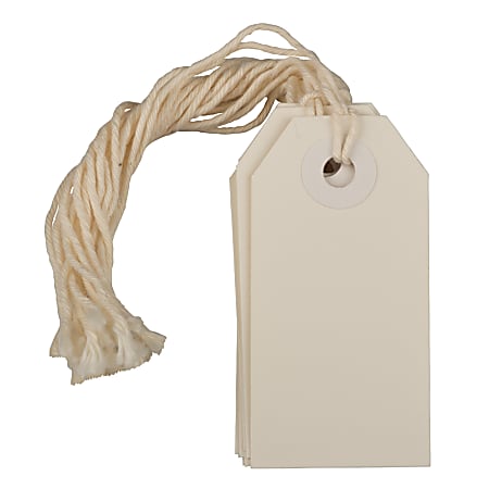  JAM PAPER Gift Tags with String - Medium - 4 3/4 x 2 3/8 - White  - Bulk 100/Pack : Health & Household