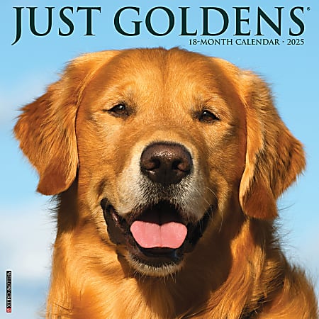 2025 Willow Creek Press Monthly Wall Calendar, 12” x 12”, Goldens, January To December, O43134