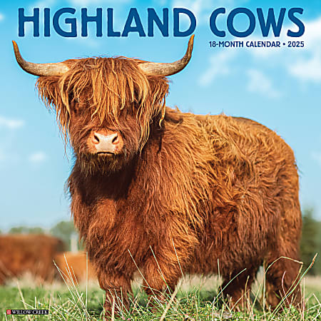2025 Willow Creek Press Animals Monthly Wall Calendar, 12" x 12", Highland Cows, January To December, O46432
