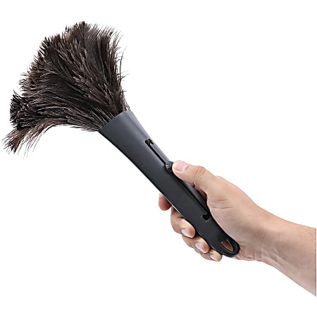 Genuine Joe Feather Duster - 1 Each
