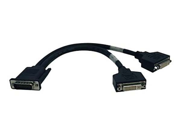 Tripp Lite DMS-59 to 2x DVI-I F Splitter Cable