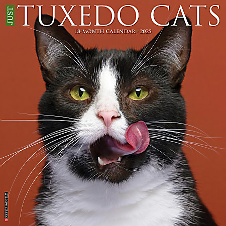 2025 Willow Creek Press Monthly Wall Calendar, 12" x 12", Tuxedo Cats, January 2025 to December 2025, 45190
