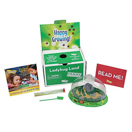 Insect Lore Ladybug Land Ladybug Growing Kit With Live Larvae, Green