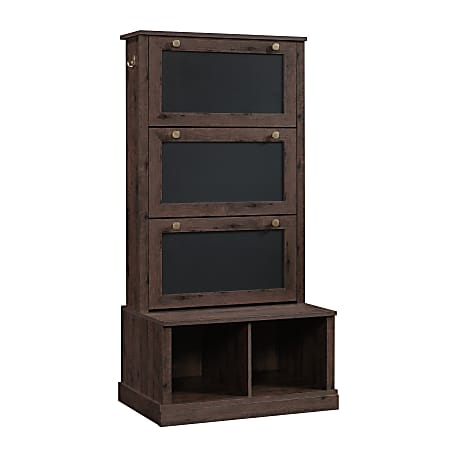 Sauder® New Grange Entryway Storage, Coffee Oak