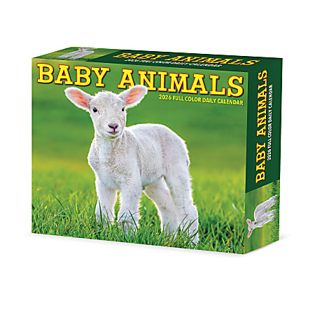 2026 Willow Creek Press Page-A-Day Daily Desk Calendar, 6-1/4" x 5-1/2", Baby Animals, January To December, 53928