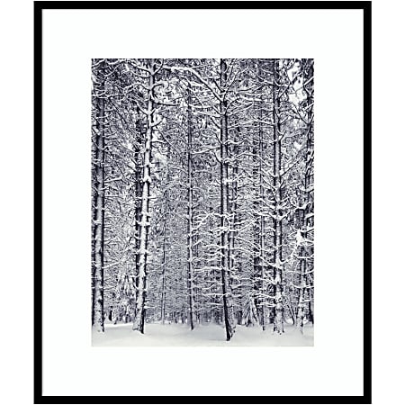 Amanti Art Pine Forest In The Snow Yosemite National Park by Ansel Adams Wood Framed Wall Art Print, 31”W x 37”H, Black
