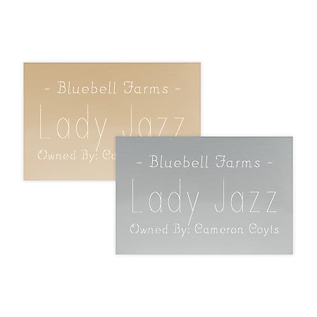 Custom Engraved Silver or Brass Metal Trophy and ID Plates, 4" x 6"