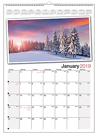 Office Depot® Brand Monthly Photographic Wall Calendar, 12" x 17", Multicolor, January to December 2019