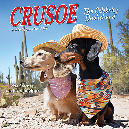 2024 Willow Creek Press Scenic Monthly Mini Wall Calendar, 7” x 7”, Crusoe The Dachshund, January To December