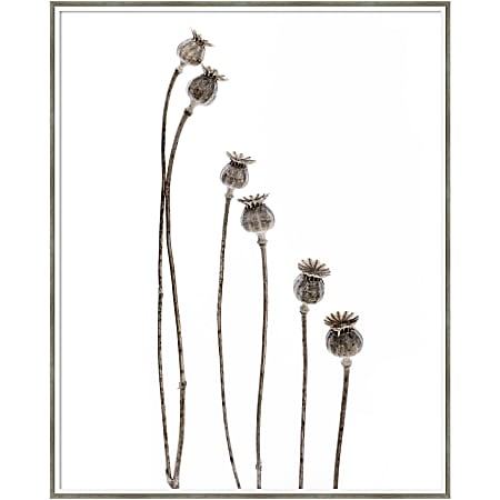 Amanti Art Last Years Flowering Poppies by Lotte Gronkjar Wood Framed Wall Art Print, 33”W x 41”H, White