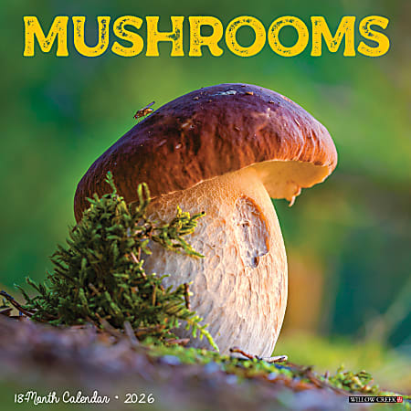 2026 Willow Creek Press Art & Design Monthly Wall Calendar, 12" x 12", Mushrooms, January To December, 52068