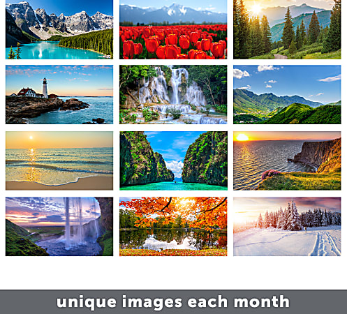 2025 Office Depot Brand Monthly Wall Calendar 12 x 17 Scenic January to