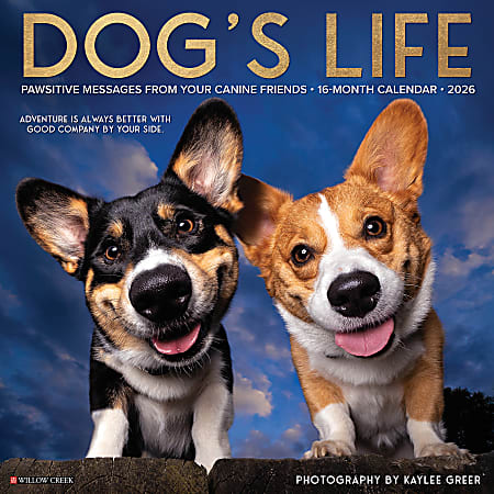 2026 Willow Creek Press Animals Monthly Wall Calendar, 12" x 12", Dog's Life, January To December, 51009