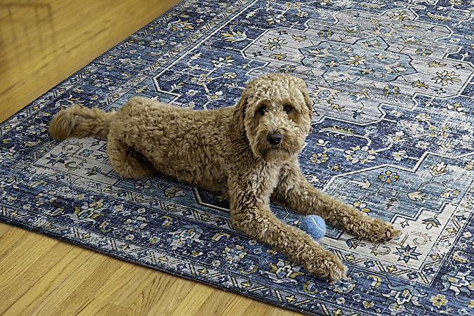 Washable area rug outlet