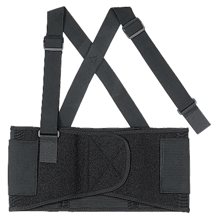 ProFlex 1650 L Black Economy Elastic Back Support