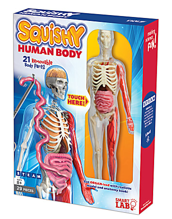 Smart lab you explore it human body model new arrivals