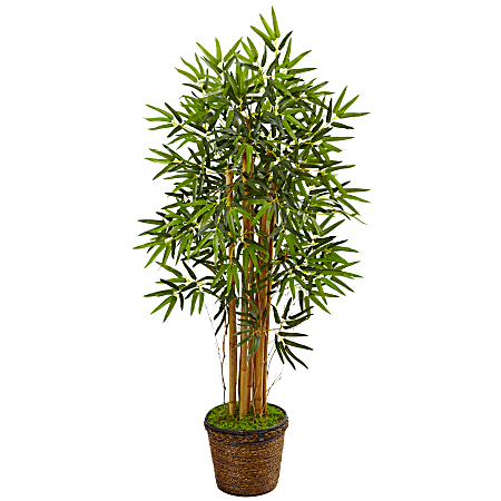 Nearly Natural Bamboo 54”H Artificial Tree With Coiled