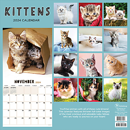 2025 TF Publishing Animal Wall Calendar, 12" x 12", Kittens, January To