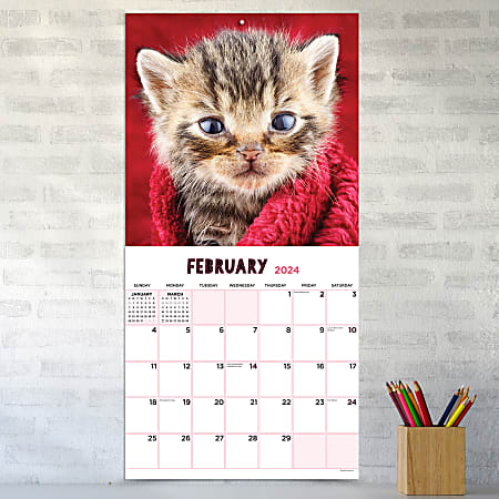 2025 TF Publishing Animal Wall Calendar, 12" x 12", Kittens, January To