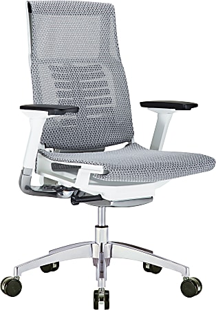 Raynor® Powerfit Ergonomic Mesh Mid-Back Executive Chair, Gray/White