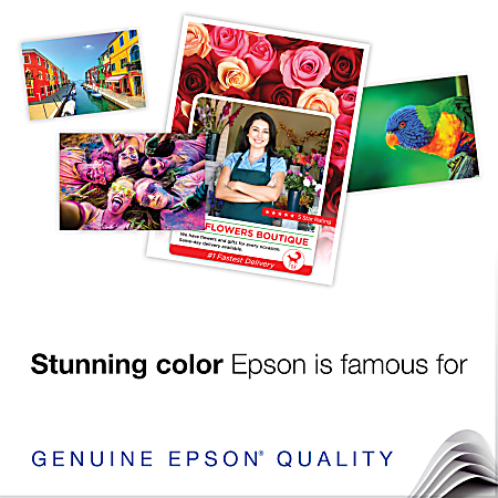 Epson® Brochure & Flyer Paper, White, Letter (8.5" x 11"), 150 Sheets Per Pack, 48 Lb, 97 Brightness