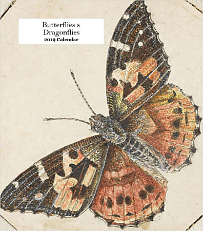 Retrospect Monthly Desk Calendar, Butterflies And Dragonflies, 6-1/4" x 5-1/4", Multicolor, January to December 2019