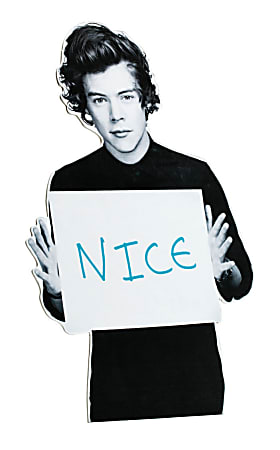 One Direction Limited Edition 1D + OD Together Study Buddy, Harry - Nice