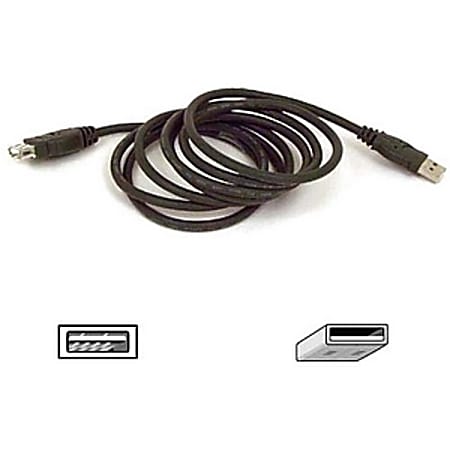 Belkin USB Extender Cable - Type A Male - Type A Female USB - 3ft