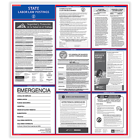 ComplyRight™ State Labor Law Poster, Spanish, New York