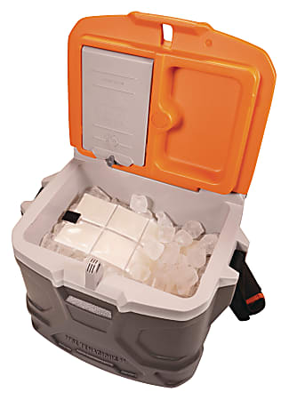 Hard sided lunch cooler top